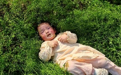 把腿张开JI巴CAO死你H公园